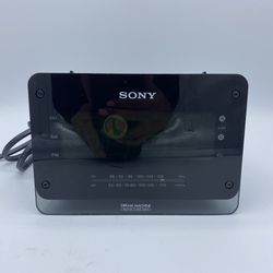Sony Dream Machine Large Display Dual Alarm Clock Radio Auto Time Set ICF-C414