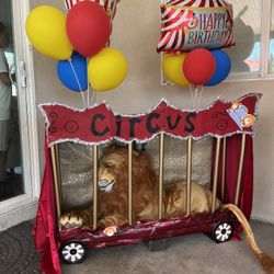 Lion  Circus Theme 