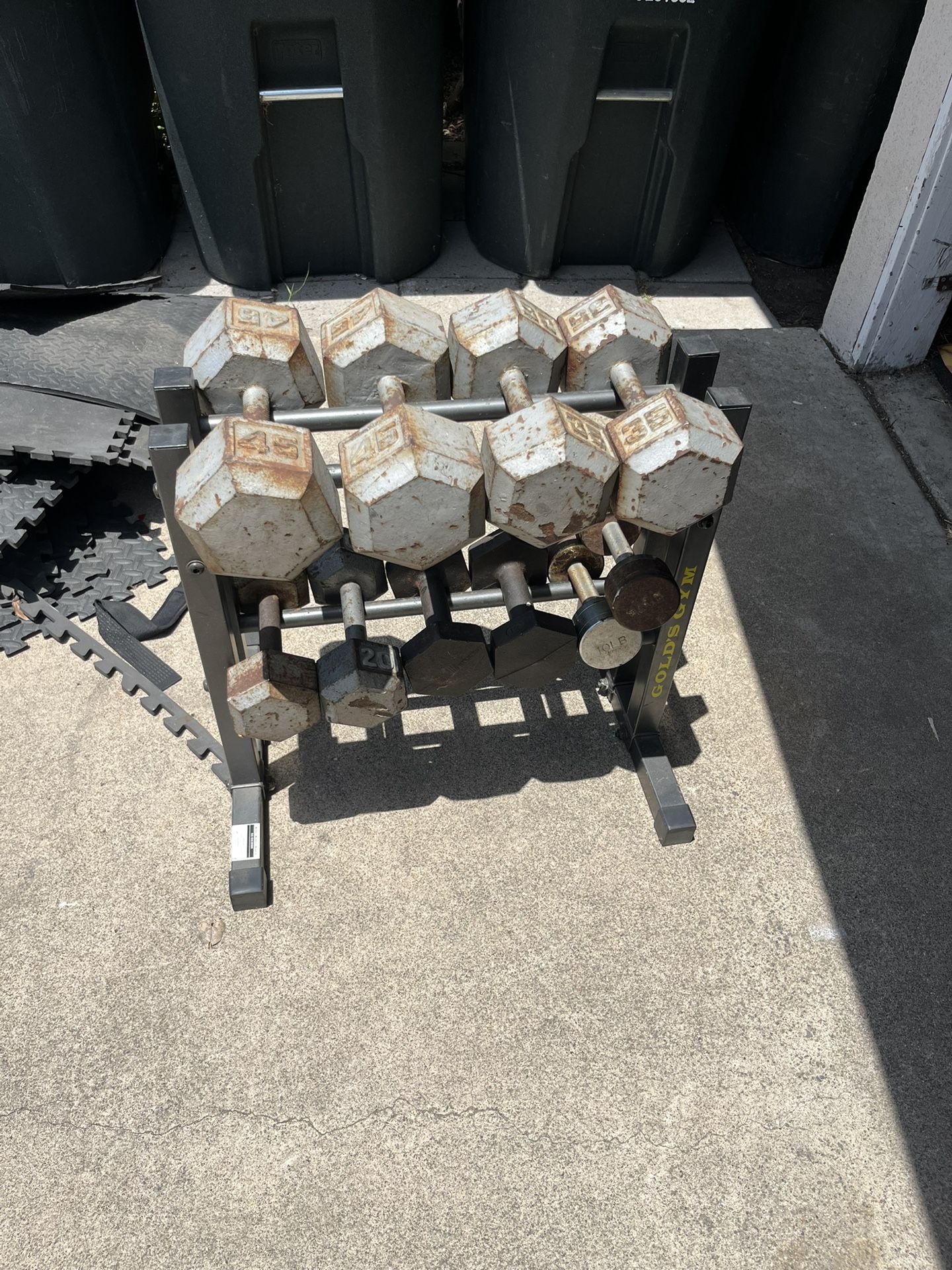 Dumbbell Weights With Stand