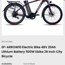 E-bike 