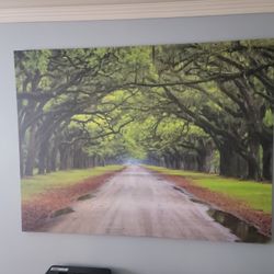 Pictures For Sale Individuals 