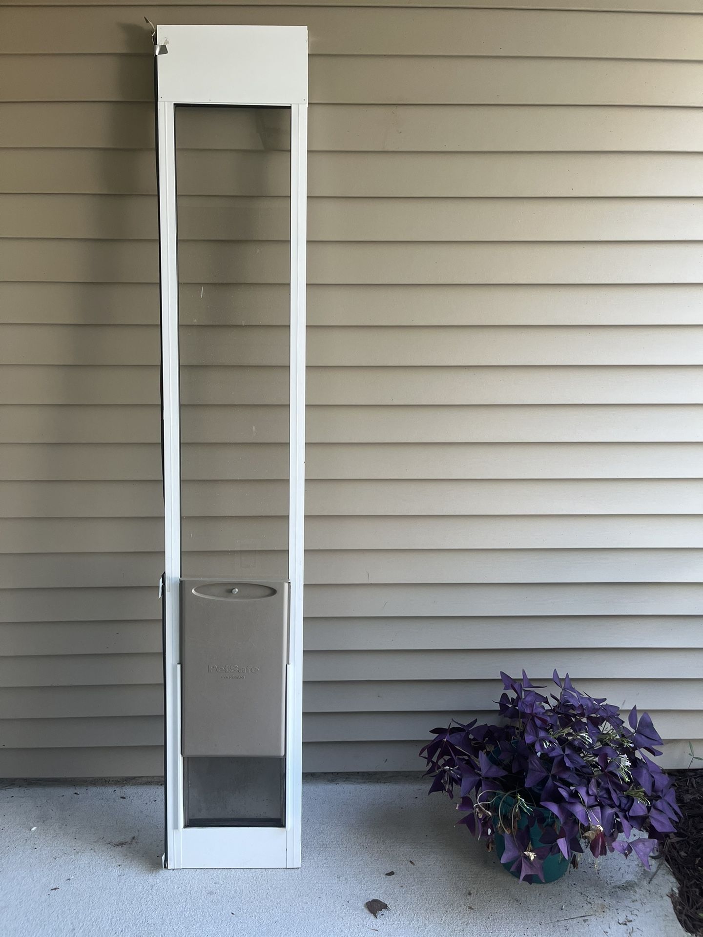Doggie Door