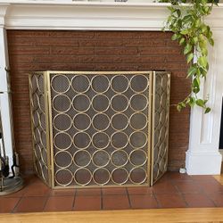 Flawless Fireplace Screen 