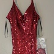 Burgandy Long Sparkling Dress