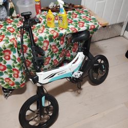 Ebike 