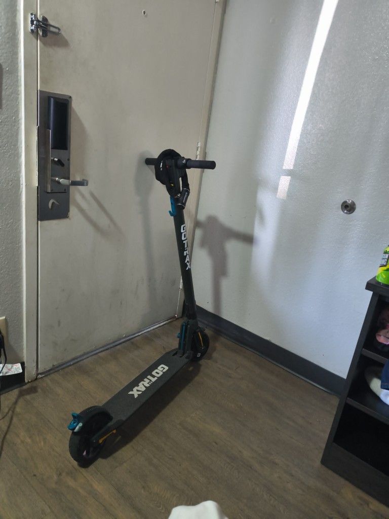GoTrax Scooter
