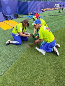 fifa world cup piece of the grass