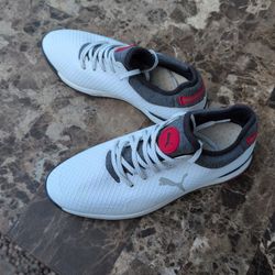 Pumas