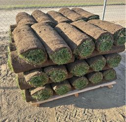 $400 PASTO