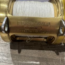 Penn International 30 Tw 2 Speed Cal Sheets Upgrade Shimano Terez Fishing Rod