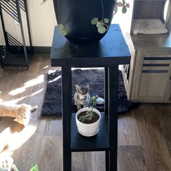 Plant Stand