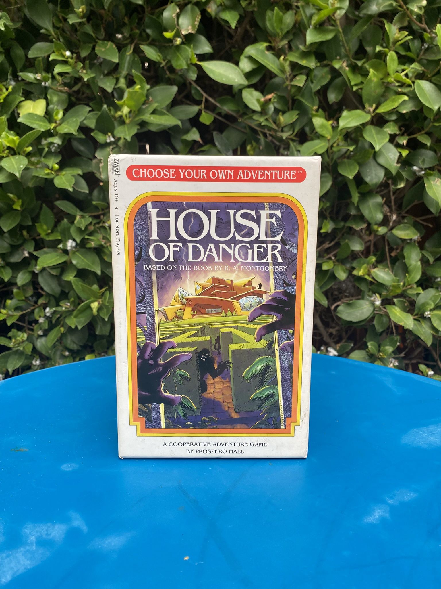 House of Danger game 