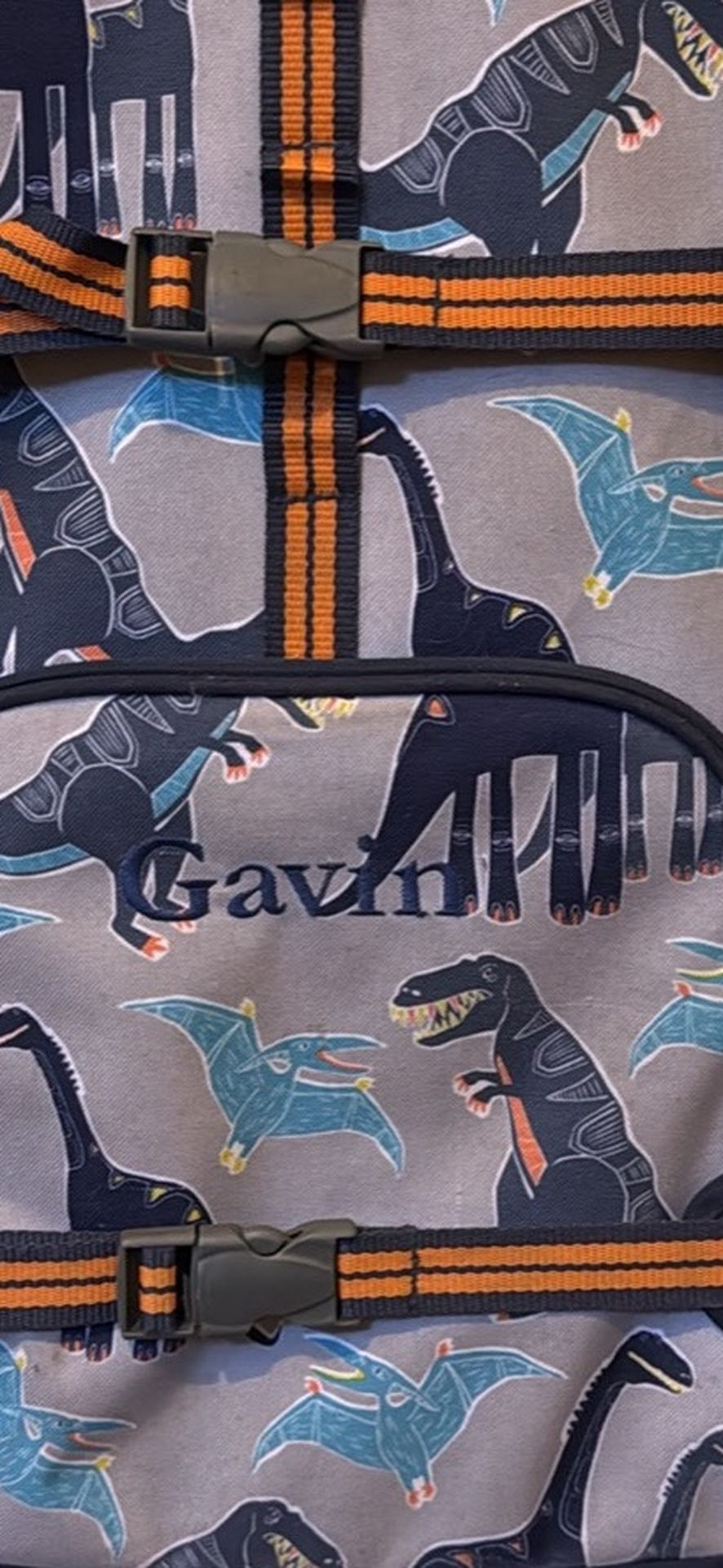 Pottery barn “Gavin” embroidered suitcase