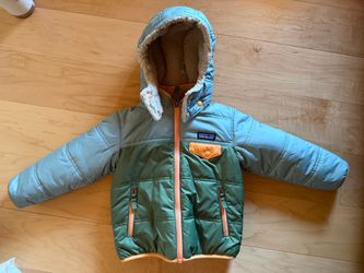 Patagonia Coat 3T