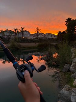 SLX bait caster and rod