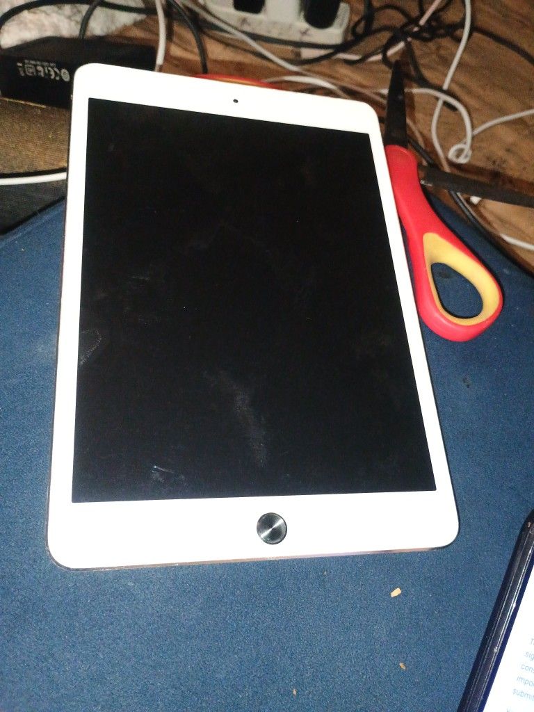 iPad