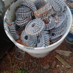 Roof Nails