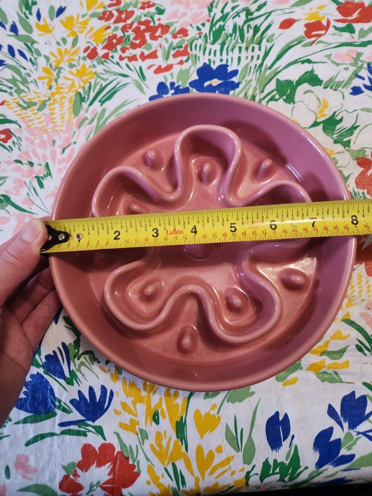 Slow Down Doggie Food Bowl