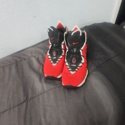 Nike Lebron 