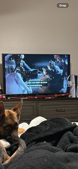 Vizio flat screen tv