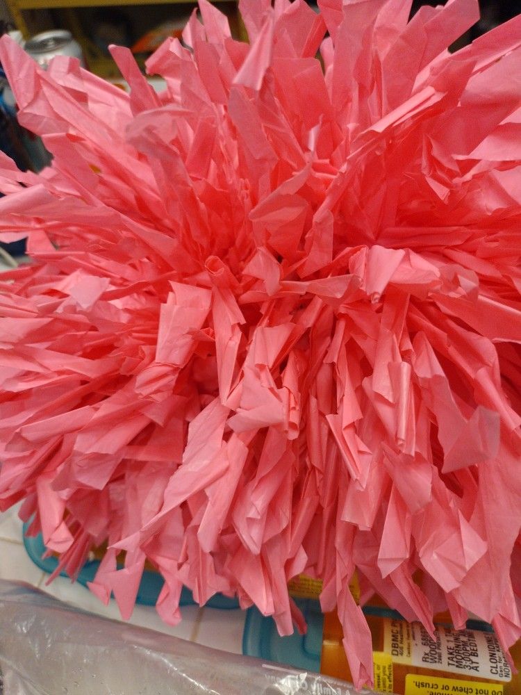 Chasse Cheer Hot Pink Pom Poms Total Of 33