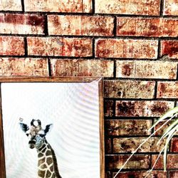 New Stupell Framed Photograph On Textile Giraffe Eclectic Wall Art Home Decor