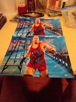 WWE Hall Of Fame Ron Van Damme