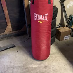 Everlast punching bag