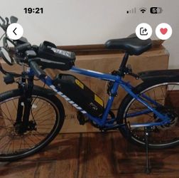 Electric Bike