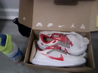 Ohio State Nikes For The Big Ohio State Fan