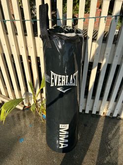 Everlast punching bag