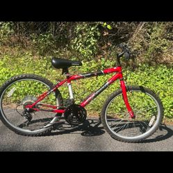 Mt Fury Roadmaster Bike 24in tires