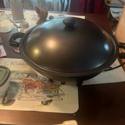 Electric Walk Brand New