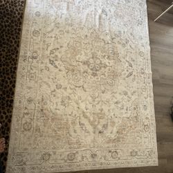 5x7 Rug NEW