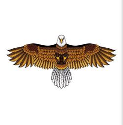 Eagle Kite - Brand New, Never Opened.