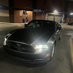 2013 Ford Mustang