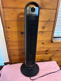 Fan