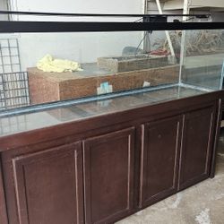 125 Gallon With Stand