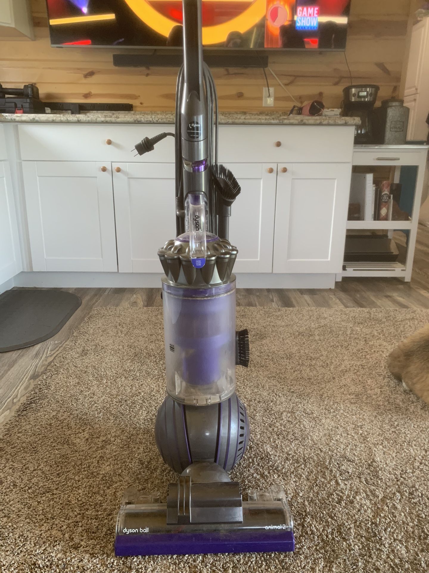 Dyson Ball Animal 2 Vacuum 