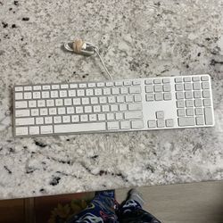 Apple Keyboard Wired 