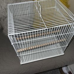 Buggie Parakeet Cage Comes With Treats And Food 