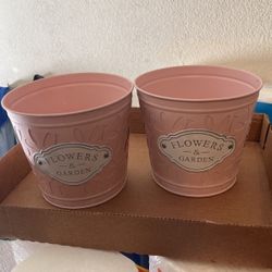 Pink Flower Pots 