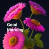 Sapna