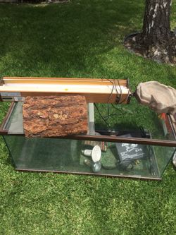 Snake/Lizard Aquarium