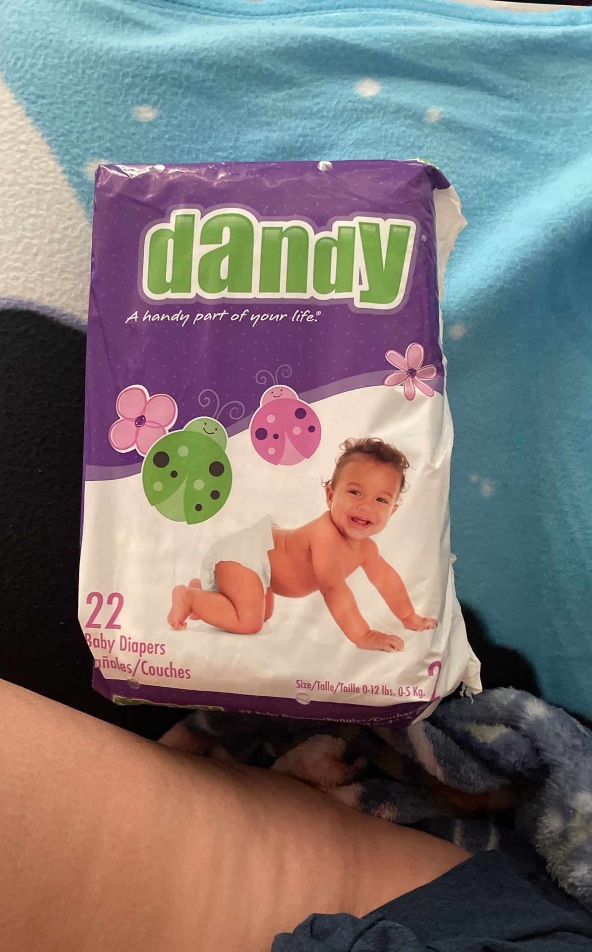 Dandy Diapers