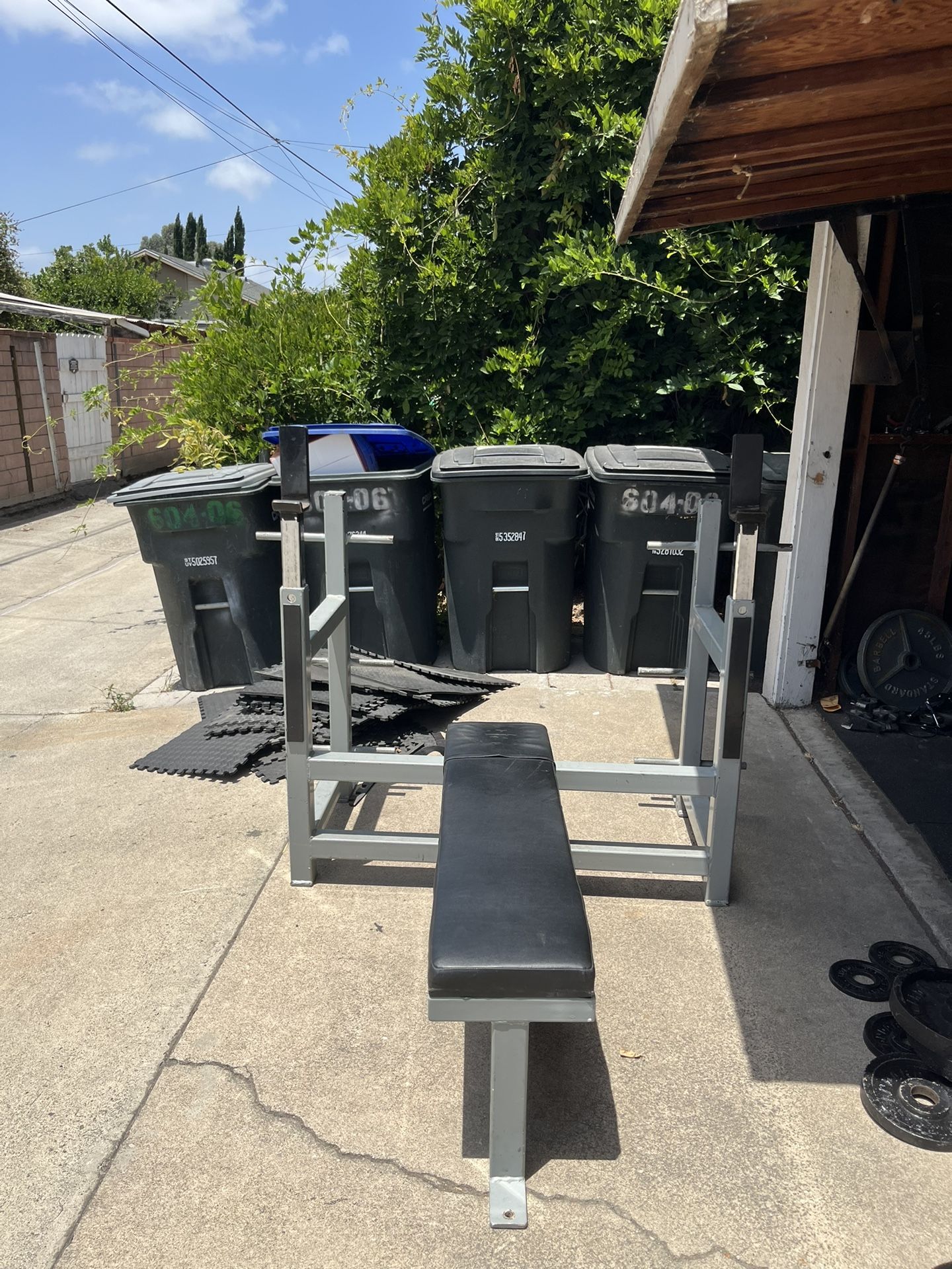 Sorinex Flat Bench Press For Weights
