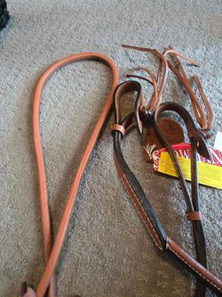 Leather reins