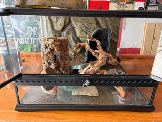 Lizard enclosure
