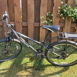 Kids Trek Mountain Bike W/rack