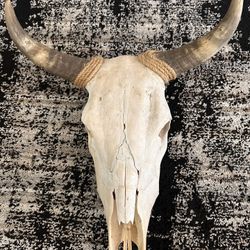 Western Steer Wall Decor
